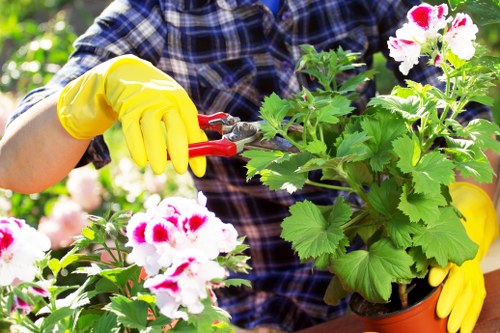 Gardeners carrying out safe outdoor maintenance with protective equipment