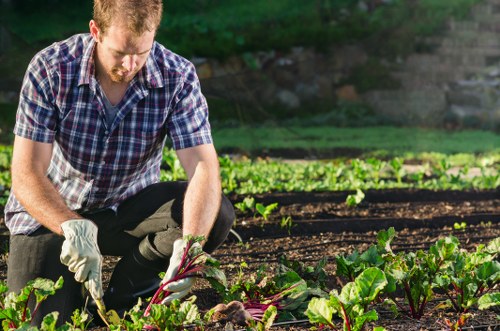 Gardeners in Nags Head providing coastal landscape care