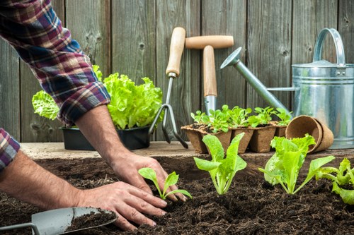 Seasonal hedge maintenance for a Nags Head coastal yard
