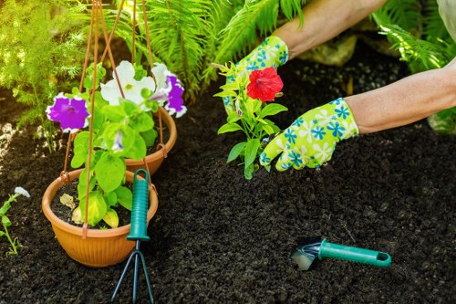Person reviewing accessible gardening information in Nags Head