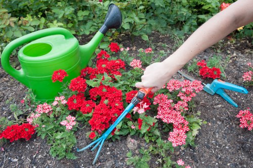 Illustration representing essential cookies for Gardeners Nags Head website functionality