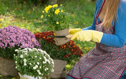 Gardeners working safely in a Nags Head garden with protective equipment