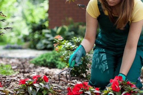 Professional garden team applying health and safety standards
