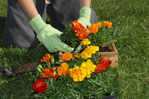 Seasonal garden upkeep in Nags Head with wind-resistant coastal plants