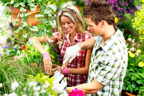 Salt-tolerant plants used in landscaping in Nags Head