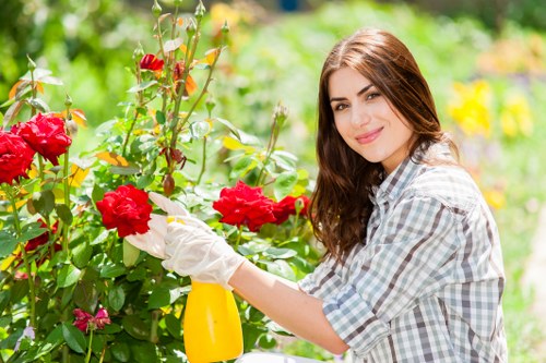 Coastal garden maintenance service in Nags Head