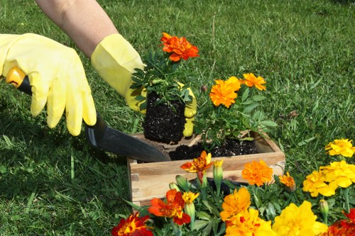 Local gardeners maintaining a healthy Nags Head garden