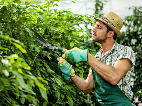 Transparent garden service rates for Nags Head properties