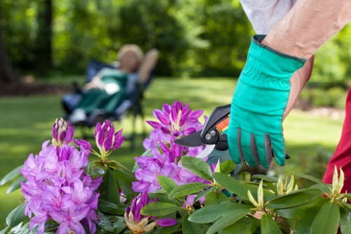 Residential gardening services in Nags Head for curb appeal