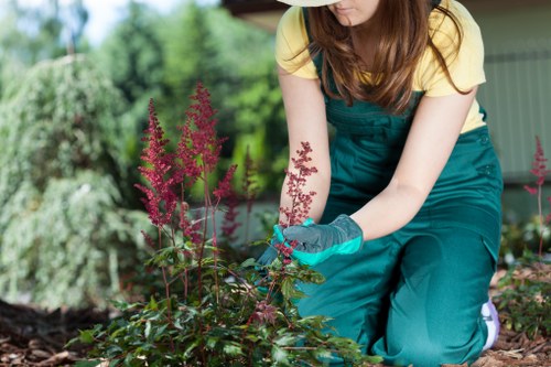 A sustainable garden maintenance team focusing on recycling and reuse