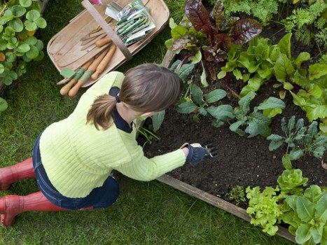 Low-carbon van used for sustainable garden waste collection