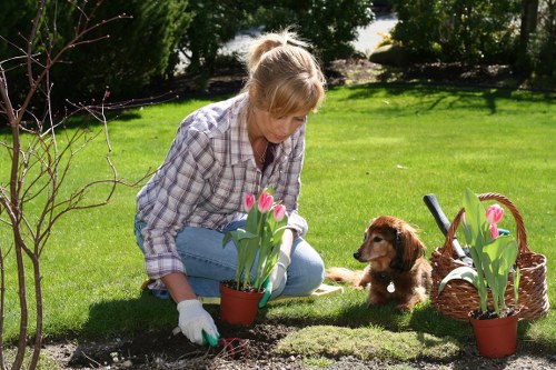 Professional garden maintenance in Nags Head with mulch and plants