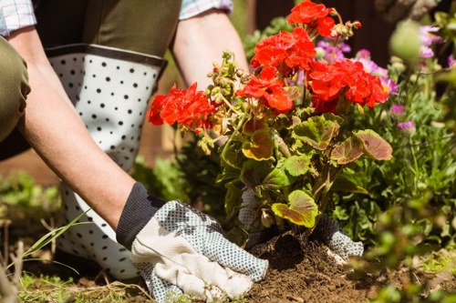 Soil preparation and mulch application for coastal garden beds