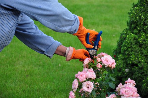 Coastal landscape care in the middle of a Nags Head garden