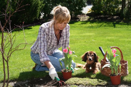 Efficient irrigation system supporting landscape gardening in Nags Head