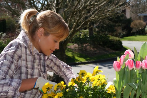 Nags Head garden care featuring salt-tolerant plants in a coastal landscape