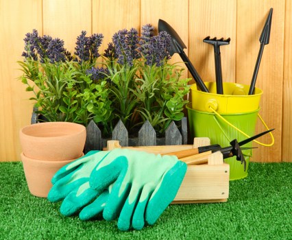 Screen-reader friendly accessibility statement for local gardeners