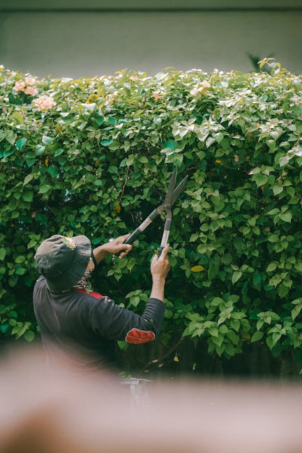 Avoid hidden gardener charges Nags Head insider tips