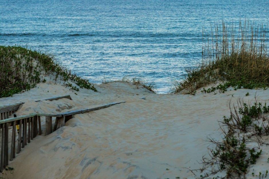 A wooden signpost on a sandy beach displaying three signs, with the top sign reading 'SURF SHACK' accompanied by a small palm tree icon, and the lower two signs stating 'NO TUBE' and 'NO TRASH' in bol