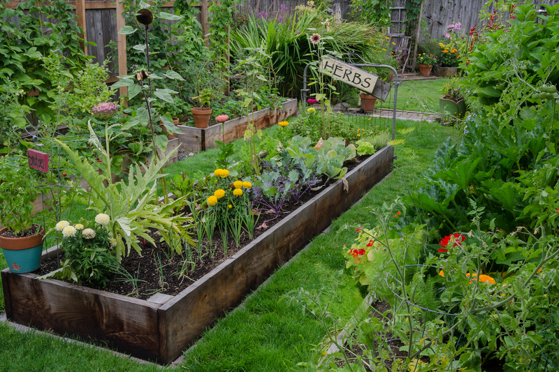 Garden backyard